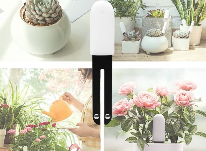 Xiaomi Smart Flower and Plant Monitor (модель HHCCJCY01HHCC)