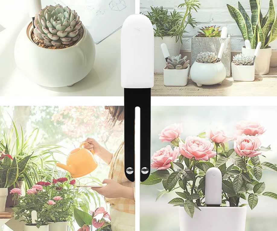 Xiaomi Smart Flower and Plant Monitor (модель HHCCJCY01HHCC)