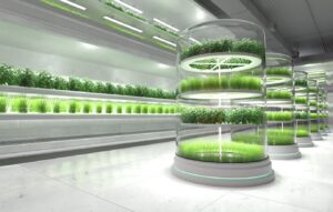 Мікрозелень і екологія: зелений тренд 2030 року